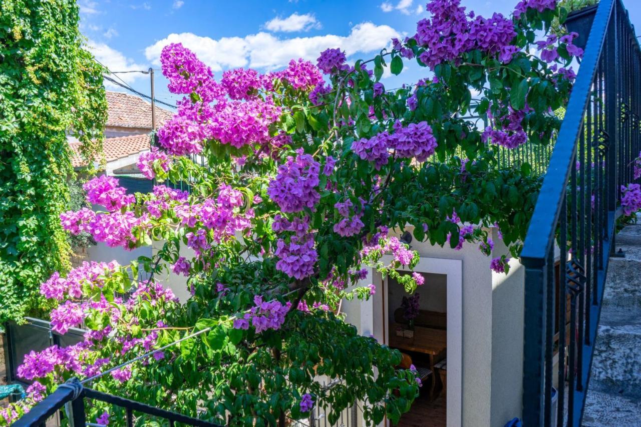 Stone House Marino Villa Trogir Luaran gambar